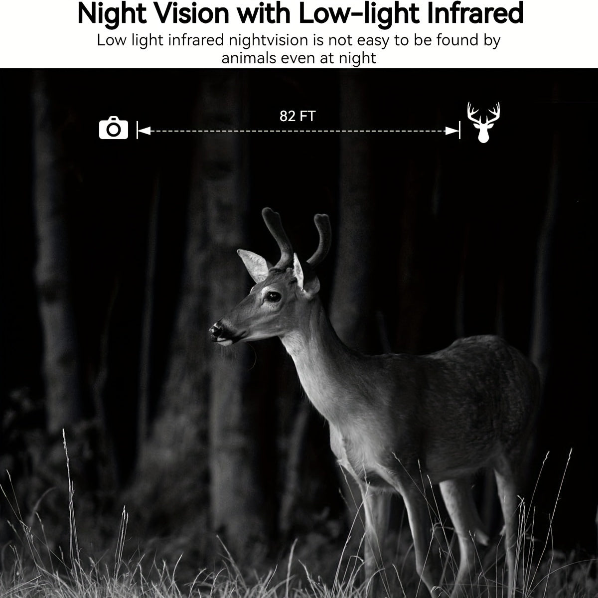 4G LTE Solar Trail Camera With Live View 2K Night Vision