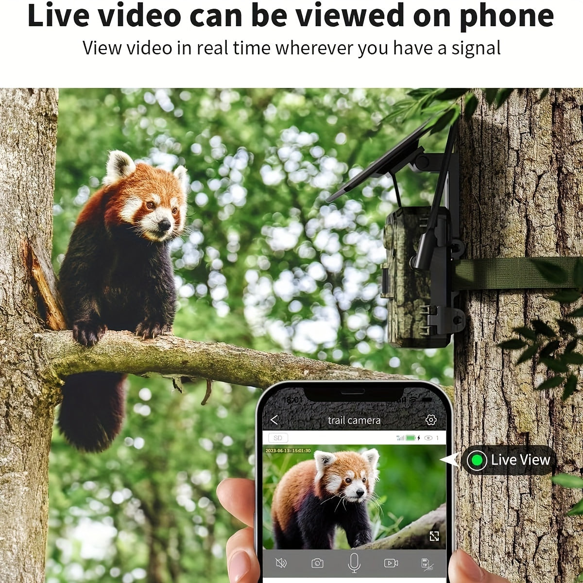 4G LTE Solar Trail Camera With Live View 2K Night Vision
