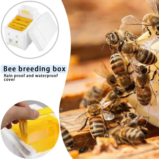 Alloet Beehive Pollination King Box Beekeeping Tools