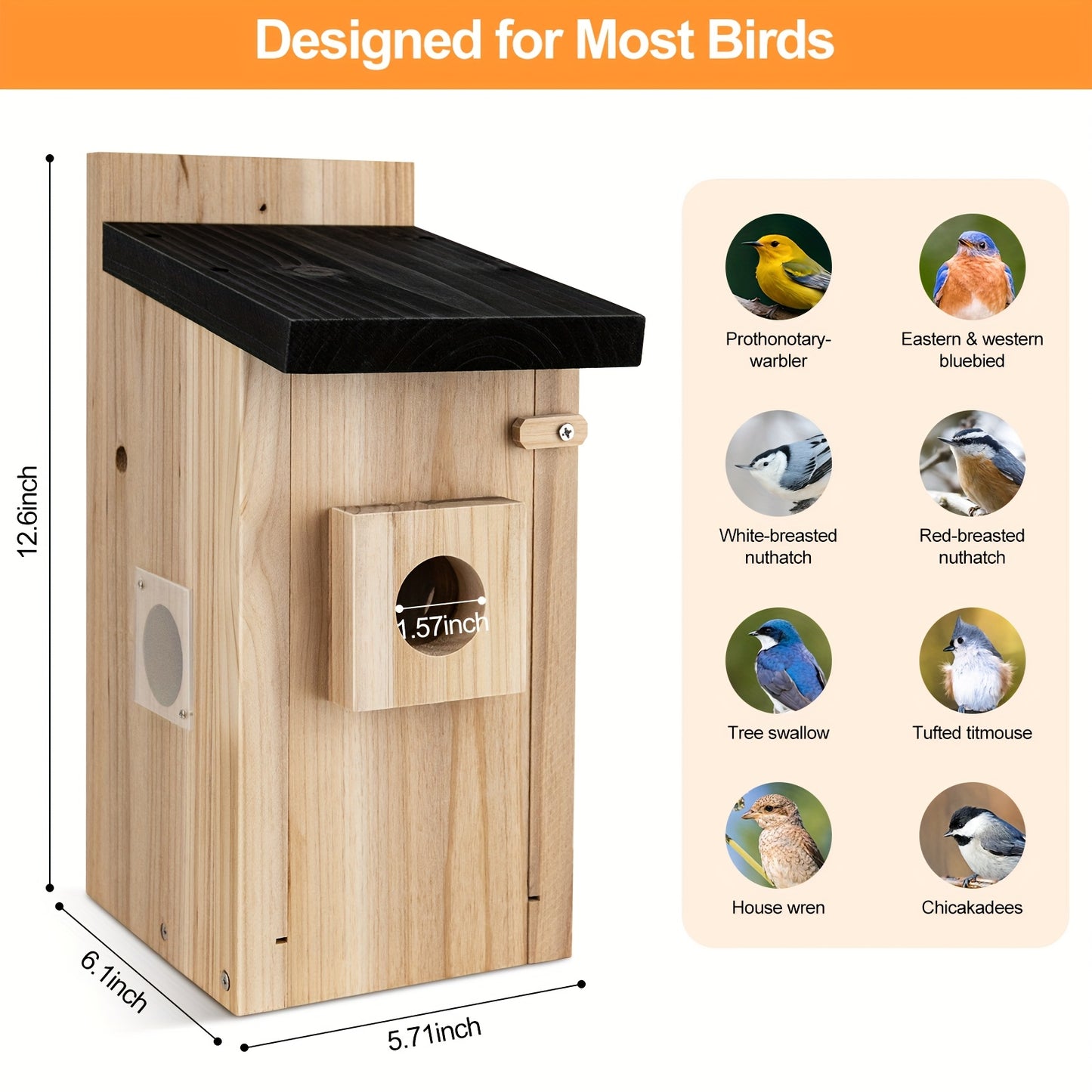 RAINBEAN Smart Bird House Feeder Camera AI Identification