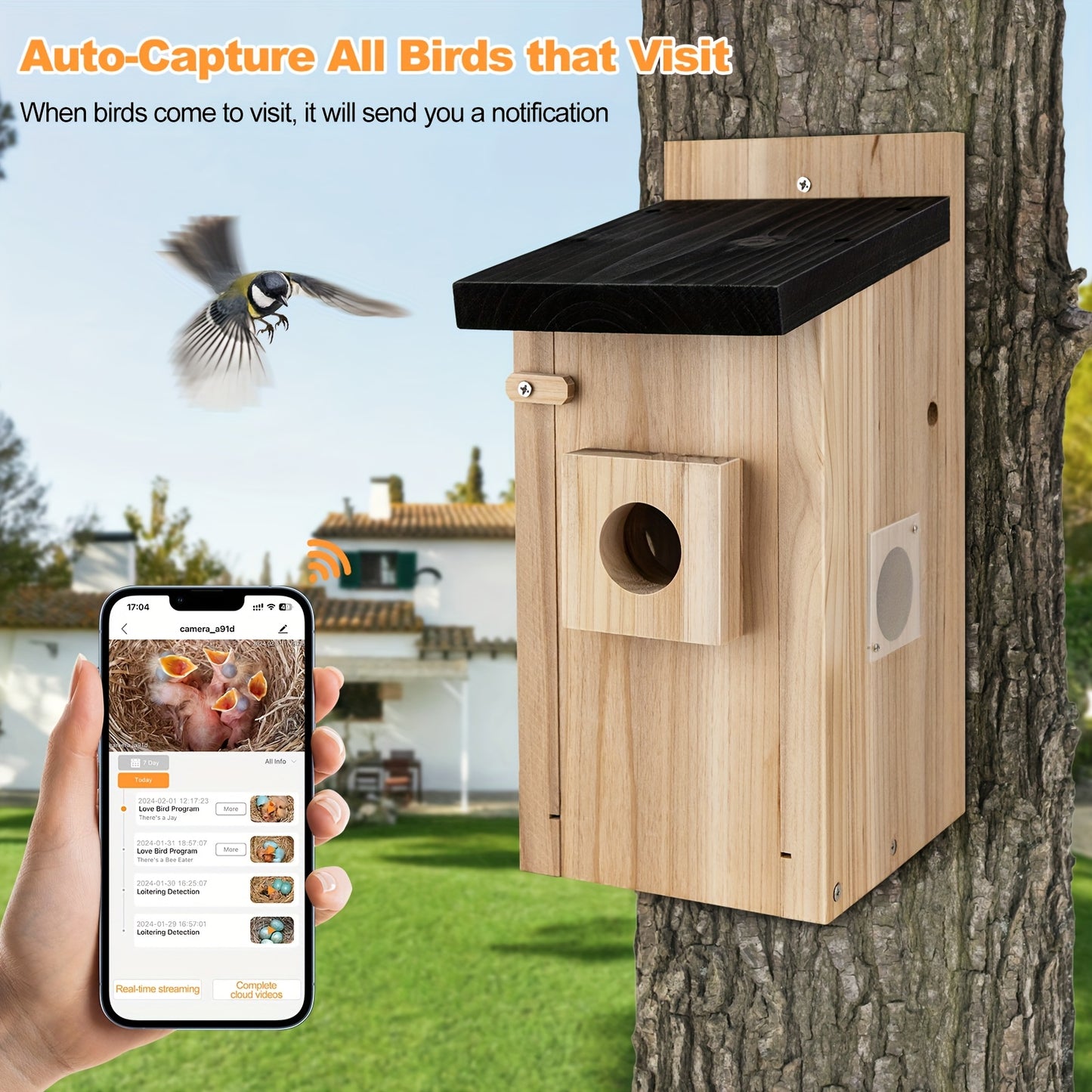 RAINBEAN Smart Bird House Feeder Camera AI Identification