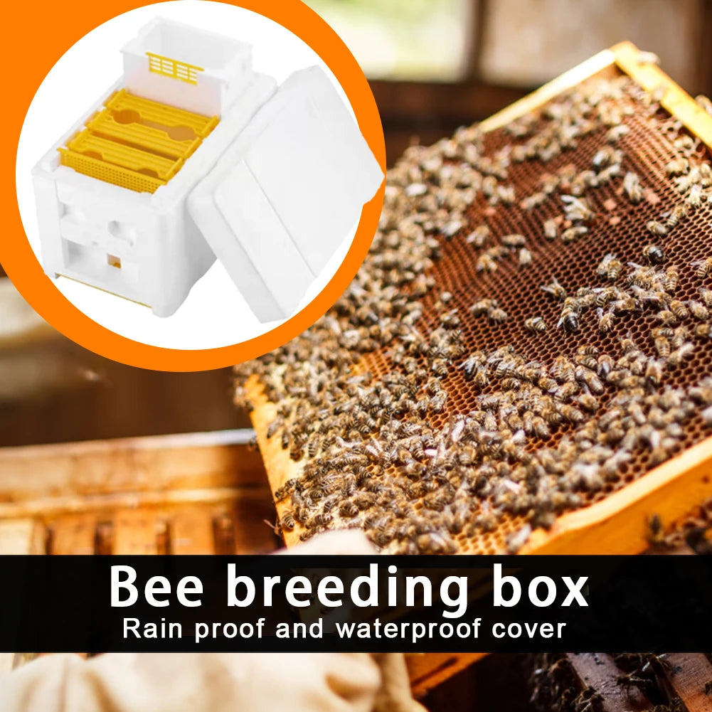 APWIKOGER Multi Function Beehive Beekeeping King Box Kit
