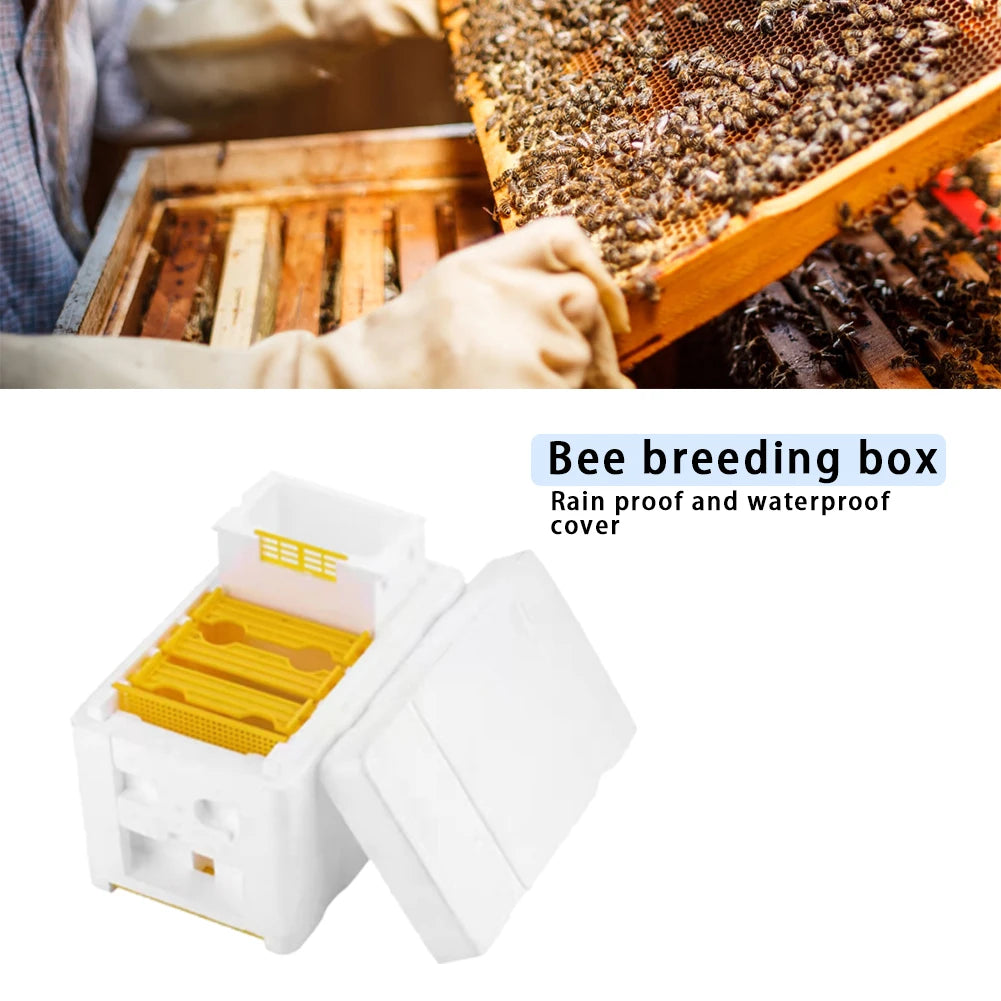 APWIKOGER Multi Function Beehive Beekeeping King Box Kit