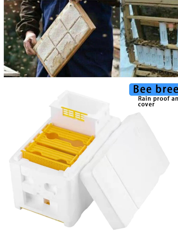 APWIKOGER Multi Function Beehive Beekeeping King Box Kit
