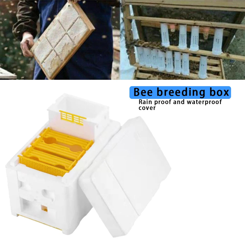 Alloet Beehive Pollination King Box Beekeeping Tools