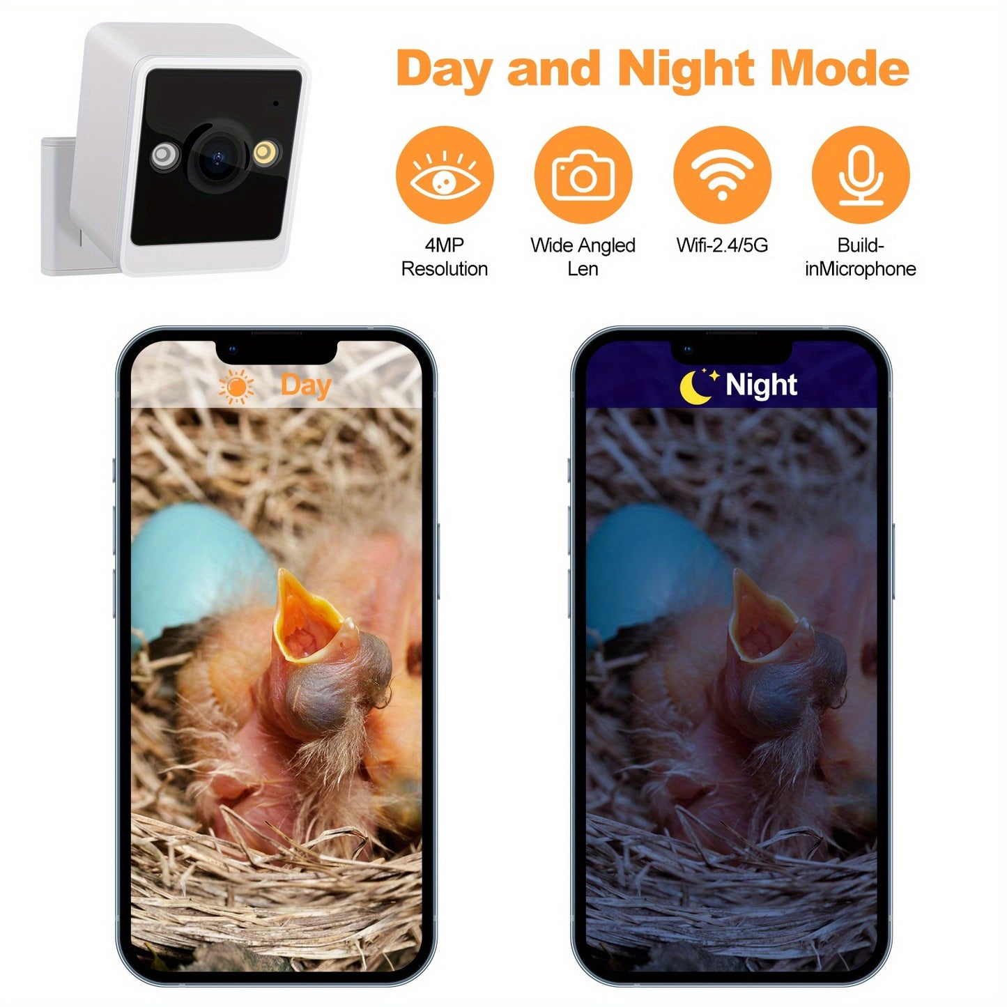 RAINBEAN Smart Bird House Feeder Camera AI Identification